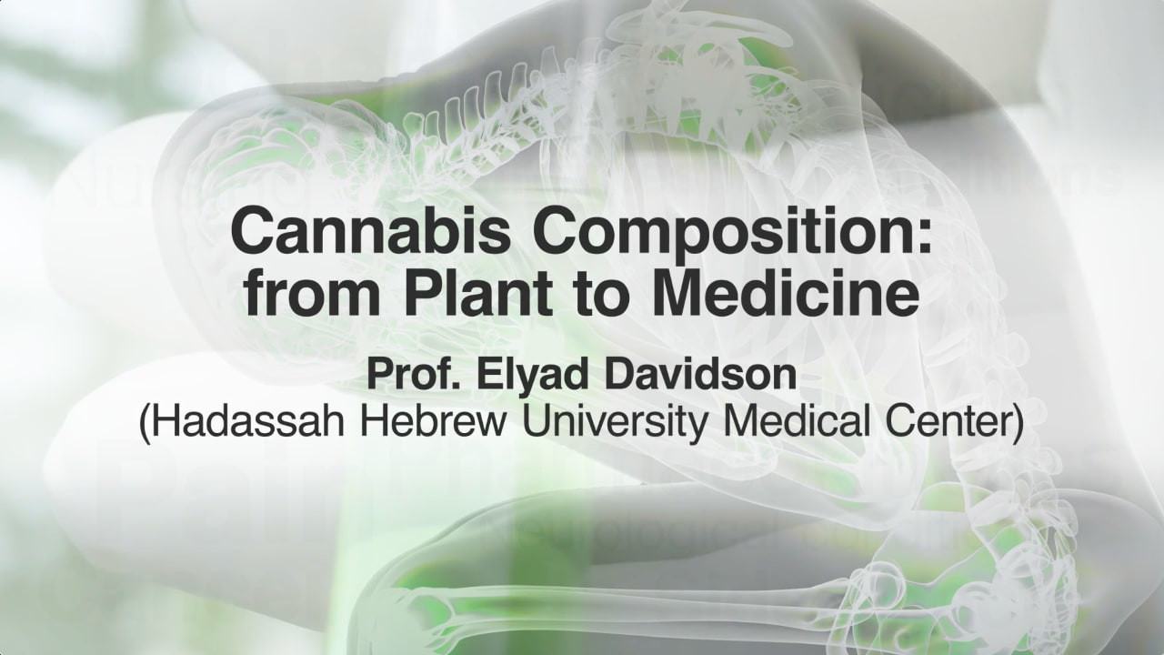 Ver tudo - Composi&ccedil;&atilde;o da Cannabis: do plantio &agrave; medicina (2h) - Ver trailer